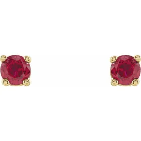 14K Yellow 2.5 mm Natural Ruby Stud Earrings